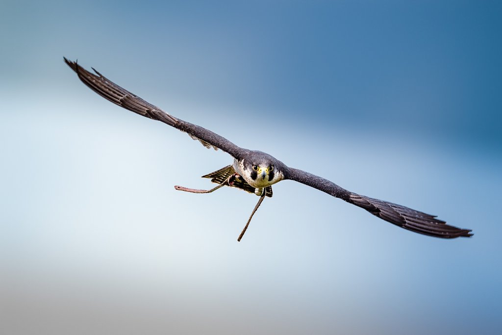 20130509-14-50-34-unbenannte-Fotosession-2-Bearbeitet.jpg