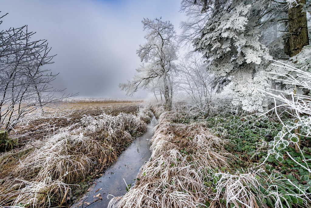 Landschaft